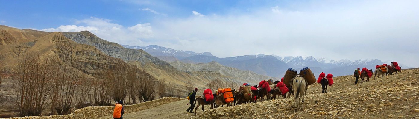 Adventure Tour